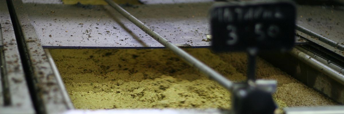 Der leuchtend grüne OlivenölBrei aus zermahlenen Agourelaio Koroneiki  Oliven wird langsam bis auf 27 °C erwärmt Und nach mehreren Stunden in der .Zentrifugenpresse zu Frühöl    gepresst...