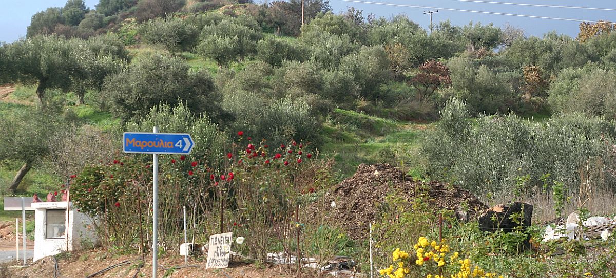 Wissen kompakt: Fakten aus Gesellschaft, Politik und Wissenschaften