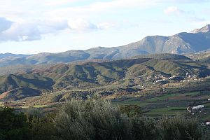 Blick von Maroulia auf die Olivenhaine des Taygetos Osthangs